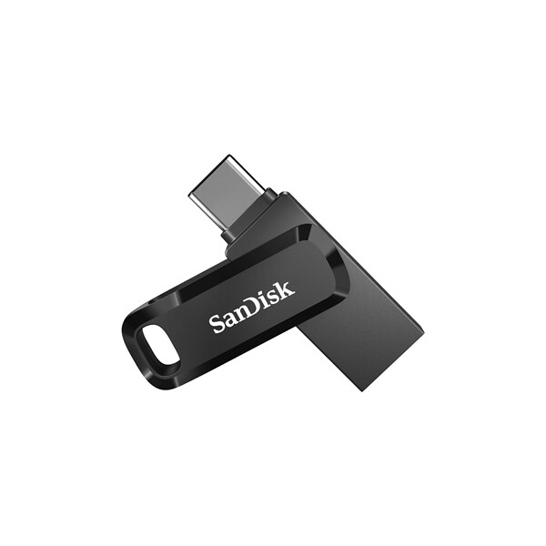Sandisk 256GB Plastic Dual USB Type C SDDDC3256GA46 - main